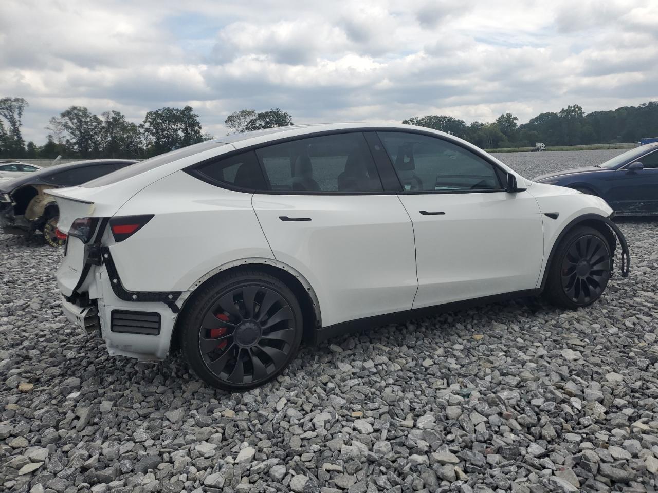 2023 TESLA MODEL Y  VIN:7SAYGDEF9PF800605