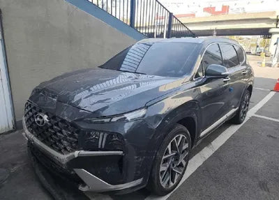 2021 Hyundai Santa FE KMHS581HGMU322507 VIN:KMHS581HGMU322507