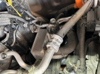 2020 Hyundai Kona KMHK381GFLU089784 VIN:KMHK381GFLU089784