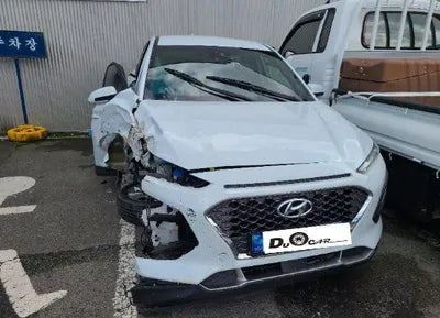 2020 Hyundai Kona KMHK4815GLU556484 VIN:KMHK4815GLU556484