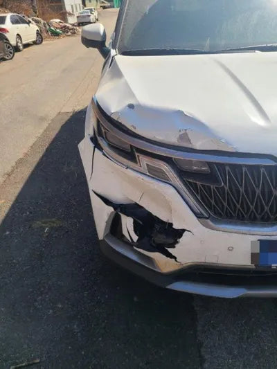 2022 Kia Carnival KNANC81BBNS166958 VIN:KNANC81BBNS166958