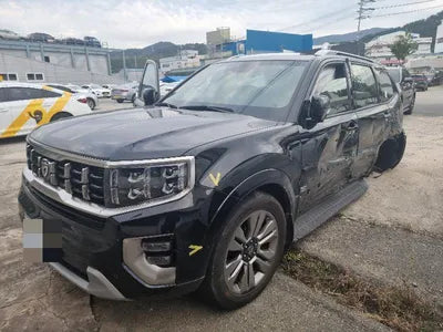 2020 Kia Mohave KNAKN814DLA203123 VIN:KNAKN814DLA203123