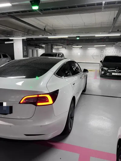 2019 Tesla Model 3 VIN: