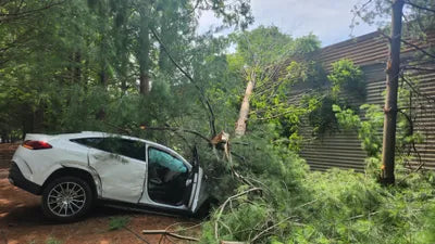 2022 Mercedes-Benz GLE 400 W1NFD2DB9NA733664 VIN:W1NFD2DB9NA733664