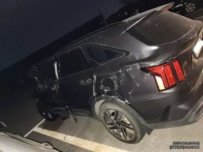 2022 Kia Sorento KNARL81GBNA071358 VIN:KNARL81GBNA071358