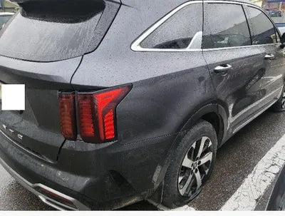 2021 Kia Sorento KNARF81BGMA060485 VIN:KNARF81BGMA060485