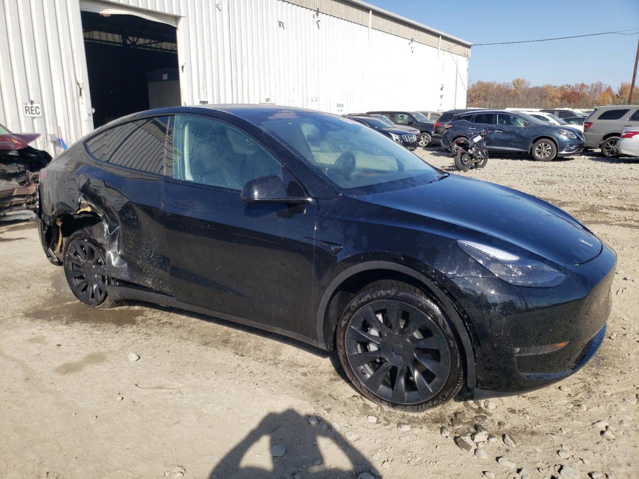 2023 TESLA MODEL Y  VIN:7SAYGDEE3PF889997