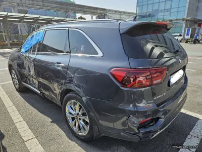 2019 Kia Sorento KNAPS81ABKA492073 VIN:KNAPS81ABKA492073