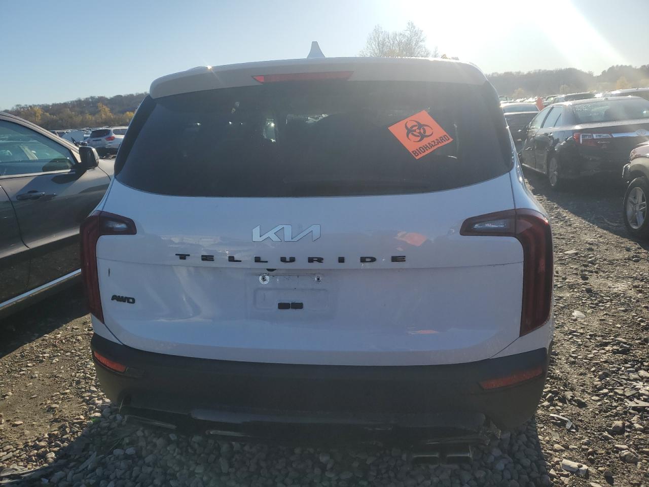 2022 KIA TELLURIDE SX VIN:5XYP5DHC9NG293680