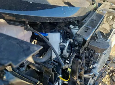 2023 Kia Sorento KNARH81BGPA211229 VIN:KNARH81BGPA211229