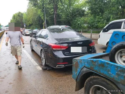 2016 acupuncture nessis 3.3 VIN: