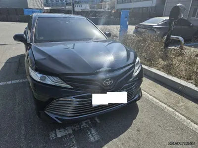 2019 Toyota Camry JTNB11HKXK3087825 VIN:JTNB11HKXK3087825