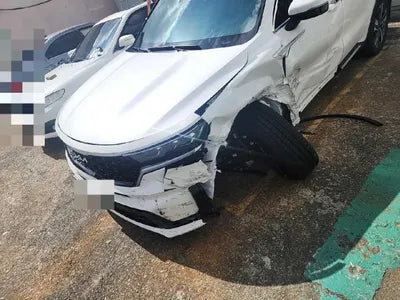 2023 Kia Sorento KNARH81GBPA214993 VIN:KNARH81GBPA214993