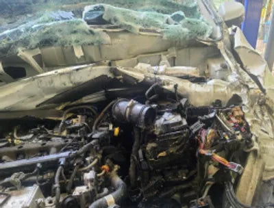 2021 Kia Carnival KNANC81BBMS071197 VIN:KNANC81BBMS071197