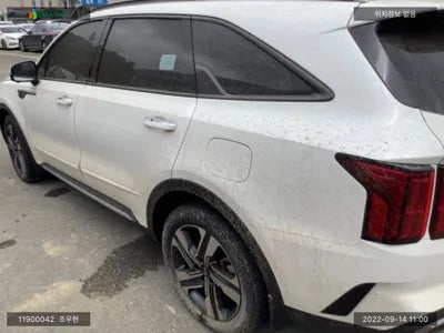 2020 Kia Sorento KNARL81GDMA028217 VIN:KNARL81GDMA028217