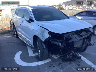 2019 Hyundai Santa FE KMHS581BBLU196955 VIN:KMHS581BBLU196955