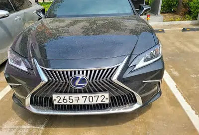 2021 Lexus ES 300 JTHBA1C15M2004442 VIN:JTHBA1C15M2004442