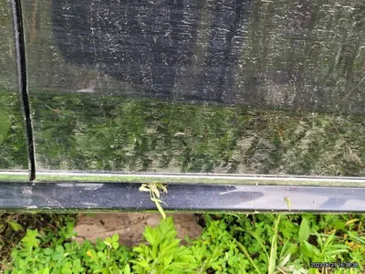 2014 Mercedes-Benz E 250 VIN: