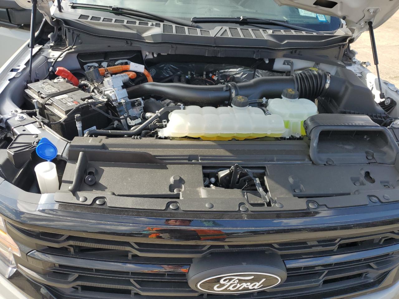 2024 FORD F150 XLT VIN:1FTFW3LD0RFA47015