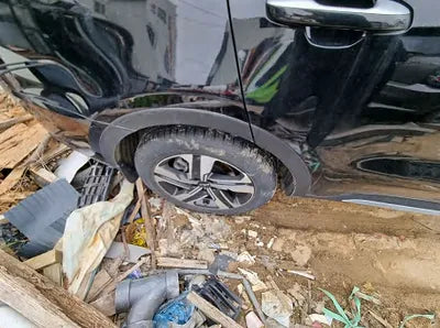 2023 Kia Sorento KNARL81GBPA133236 VIN:KNARL81GBPA133236