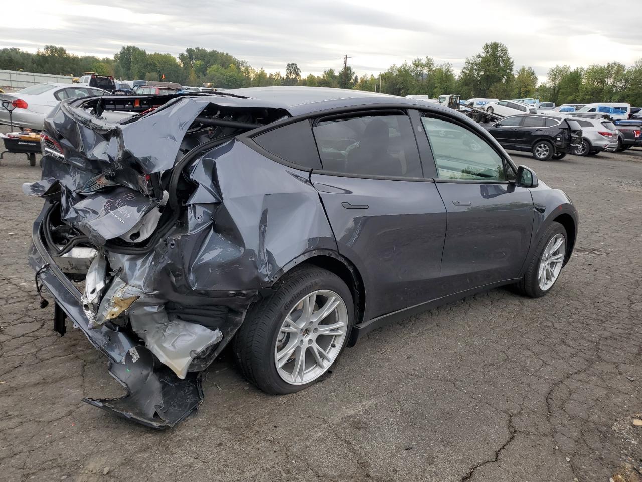 2023 TESLA MODEL Y  VIN:7SAYGDEE6PF904993