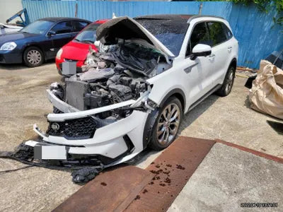2020 Kia Sorento KNARG81BGMA006969 VIN:KNARG81BGMA006969