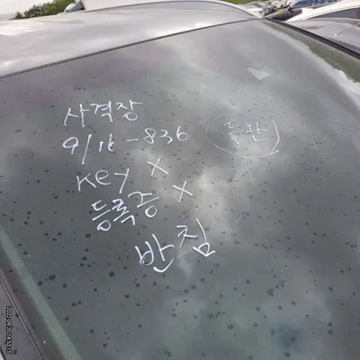 2020 Hyundai Santa FE KMHS281BBLU295824 VIN:KMHS281BBLU295824