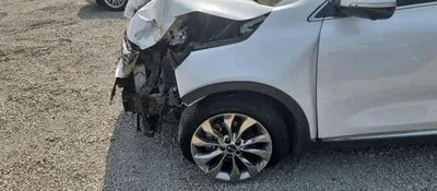2019 Kia Sorento KNAPS81BBLA564800 VIN:KNAPS81BBLA564800