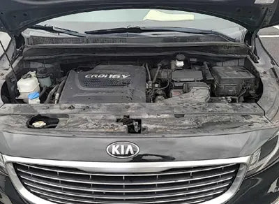 2017 Kia Carnival KNAMC81ABHS299350 VIN:KNAMC81ABHS299350