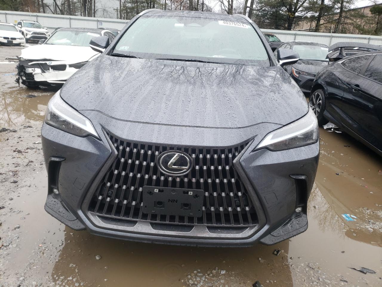 2023 LEXUS NX 350 VIN:2T2GGCEZXPC021873