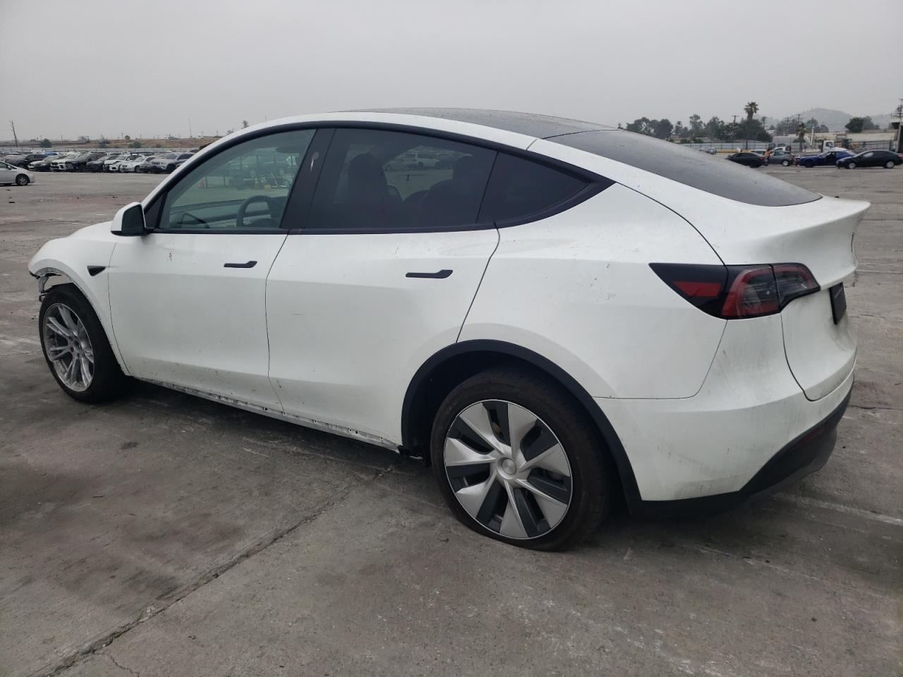 2023 TESLA MODEL Y  VIN:7SAYGDEE1PF813890