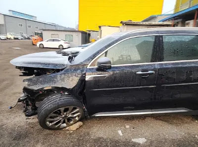 2021 Kia Sorento KNARF81BGMA013546 VIN:KNARF81BGMA013546