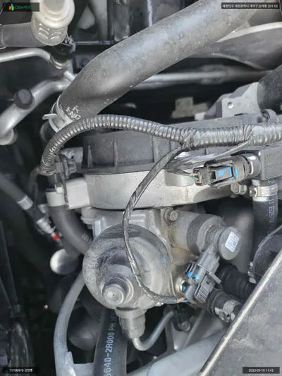 2020 Kia Sorento KNARH81BGMA055454 VIN:KNARH81BGMA055454