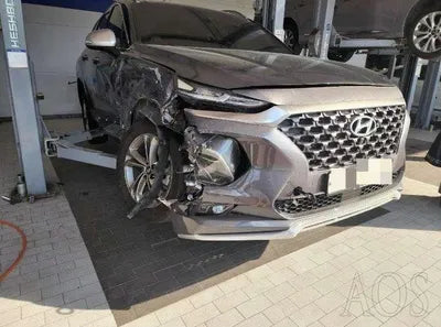 2019 Hyundai Santa FE KMHS581CDKU131078 VIN:KMHS581CDKU131078