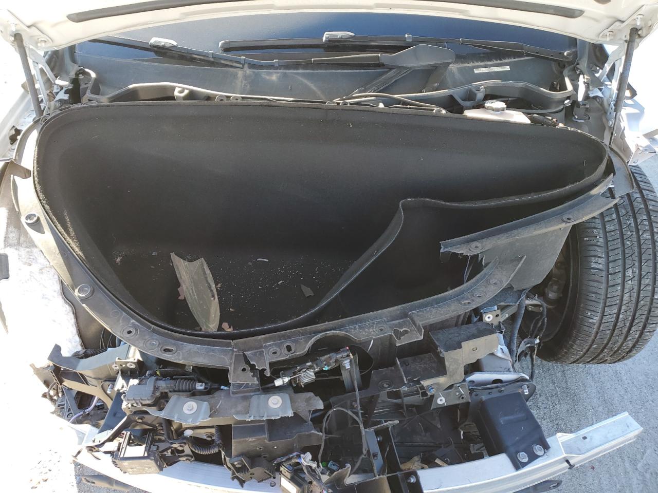 2022 TESLA MODEL X  VIN:7SAXCBE51NF328660