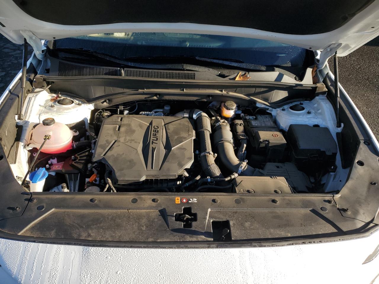 2022 HYUNDAI SANTA FE LIMITED VIN:5NMS4DAL2NH455565