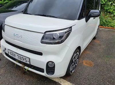 2017 Kia Carnival KNAME811BHS301325 VIN:KNAME811BHS301325