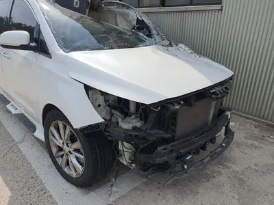2020 Kia Carnival KNAME81ABLS653172 VIN:KNAME81ABLS653172