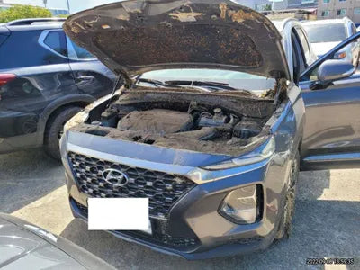 2019 Hyundai Santa FE KMHS381BBKU184040 VIN:KMHS381BBKU184040