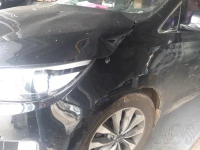 2014 Kia Carnival VIN: