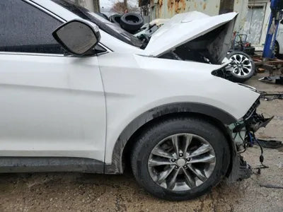 2018 Hyundai Santa FE KMHSW81UBJU796215 VIN:KMHSW81UBJU796215