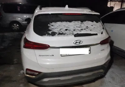 2019 Hyundai Santa FE KMHS381CBKU028156 VIN:KMHS381CBKU028156