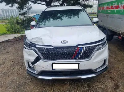 2021 Kia Carnival KNANE81BBMS073819 VIN:KNANE81BBMS073819