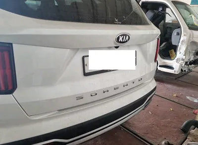 2021 Kia Sorento KNARH81BGMA010319 VIN:KNARH81BGMA010319