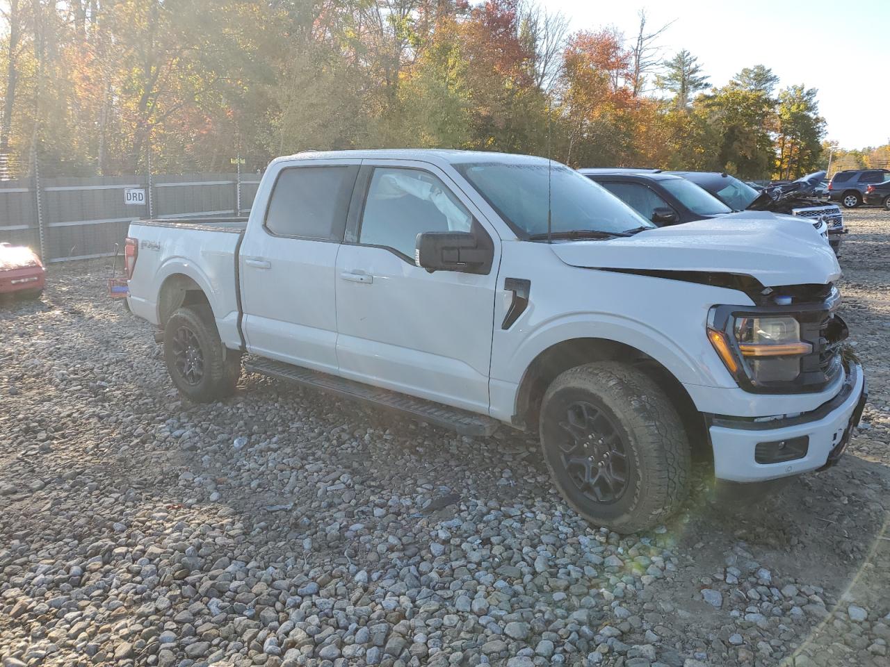 2024 FORD F150 XLT VIN:1FTFW3L51RKE37881