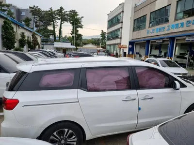 2019 Kia Carnival KNAMB81ABKS472953 VIN:KNAMB81ABKS472953