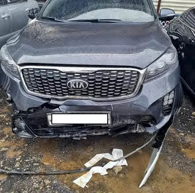 2018 Kia Sorento KNAPG81BBJA461483 VIN:KNAPG81BBJA461483
