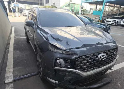 2021 Hyundai Santa FE KMHS581HGMU322507 VIN:KMHS581HGMU322507