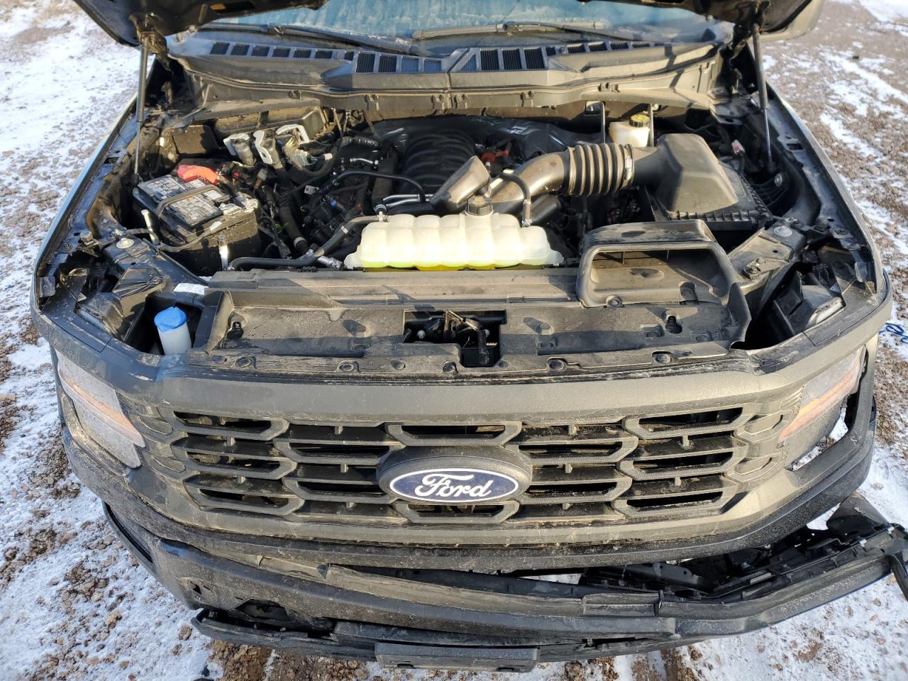 2024 FORD F150 XL VIN:1FTFW1L55RKD42048