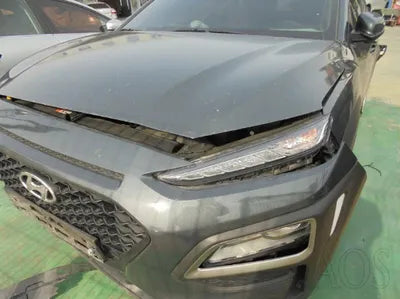 2019 Hyundai Kona KMHK4815GKU305224 VIN:KMHK4815GKU305224